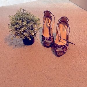 Leopard print Guess heels. In good condition. Size 5.5.